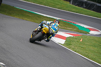 Advanced Group Yellow Bikes